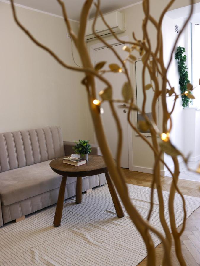 Mina City Center Apartment Amzei Bukarest Eksteriør billede