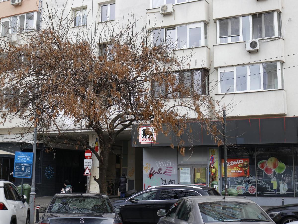 Mina City Center Apartment Amzei Bukarest Eksteriør billede